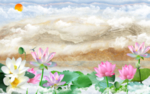 水墨荷花大理石