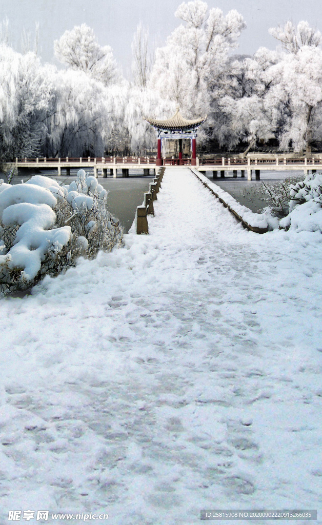 照相背景