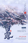 白露