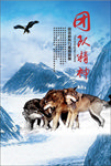企业海报
