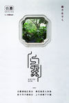 白露
