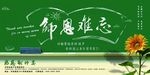 教师节