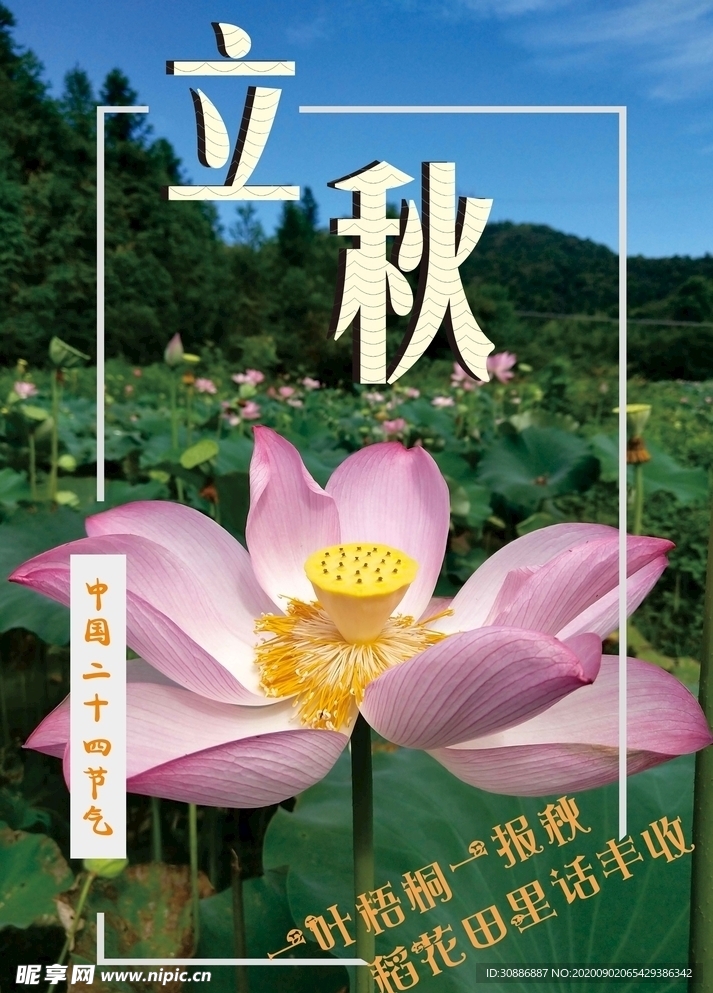 立秋