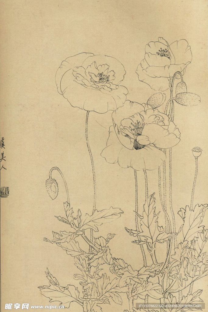 植物花草工笔画线稿图