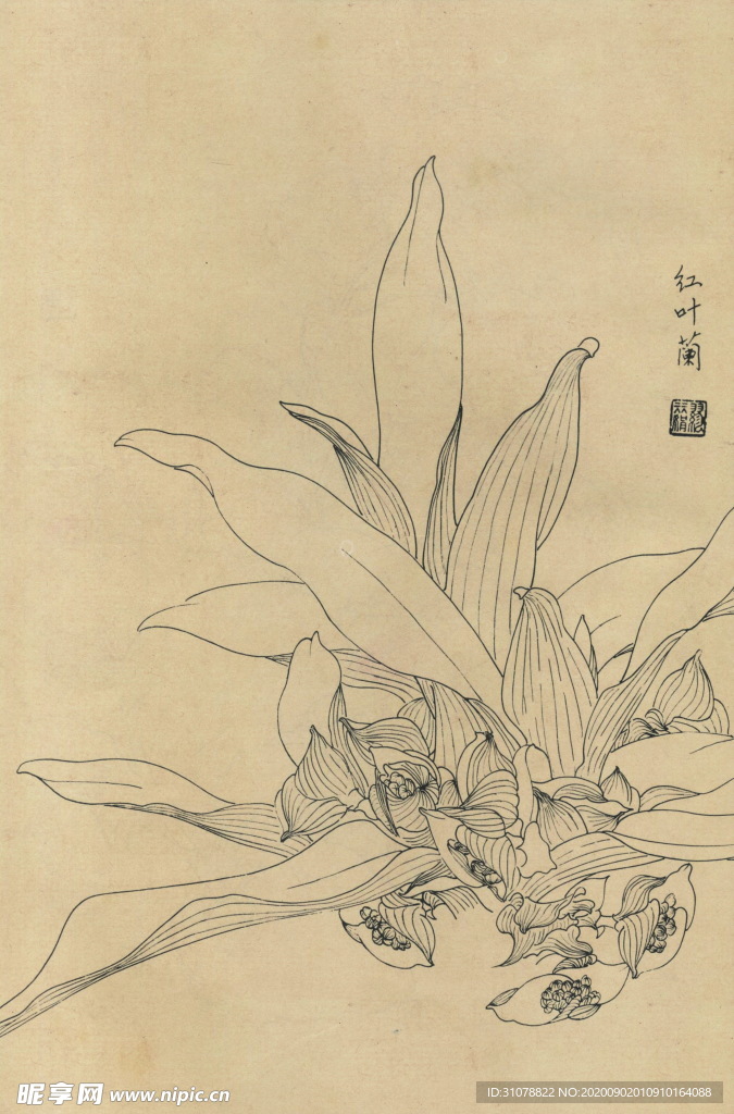植物花草工笔画线稿图
