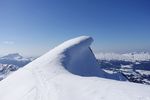 山