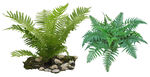 免扣植物素材图片