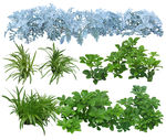免扣植物素材图片