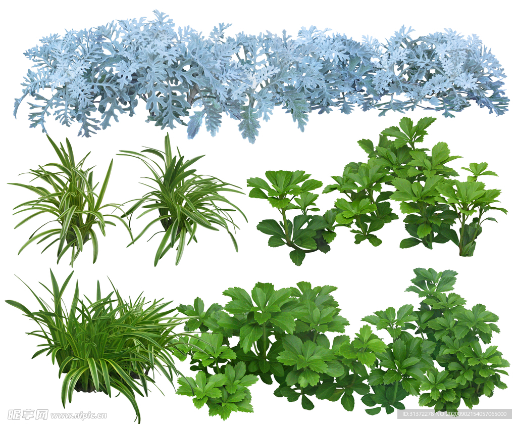 免扣植物素材图片