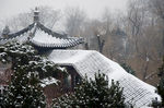 迎泽公园雪景