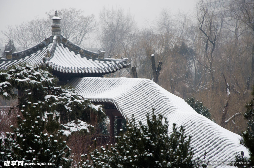 迎泽公园雪景