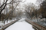 迎泽公园雪景