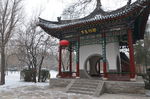 迎泽公园冬景