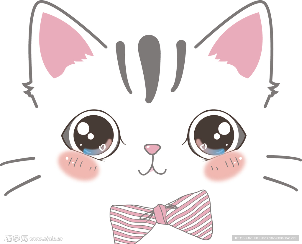 漂亮眼睛小猫