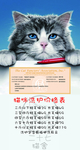 宠物店价格表