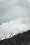 山