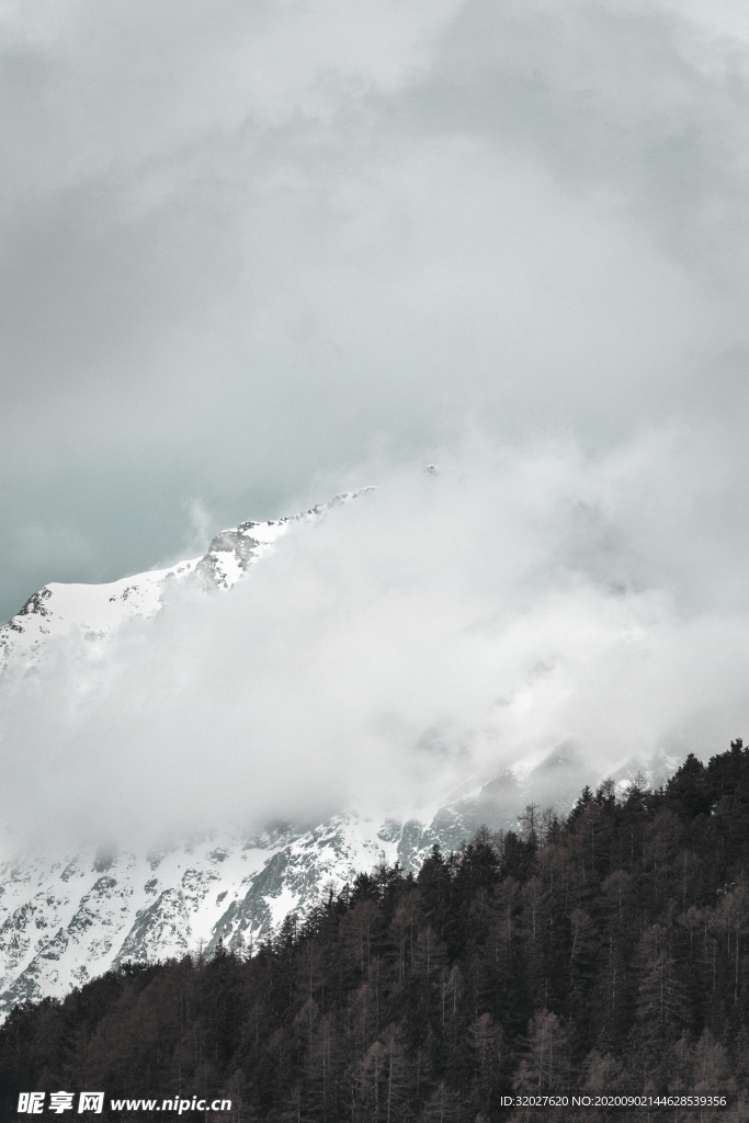山