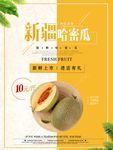 哈密瓜图片