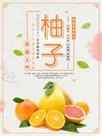 柚子海报图片
