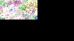 大花 芙蓉 牡丹