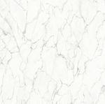 黑白石纹 爵士白