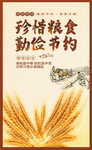 节约粮食