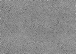 孔洞矢量图