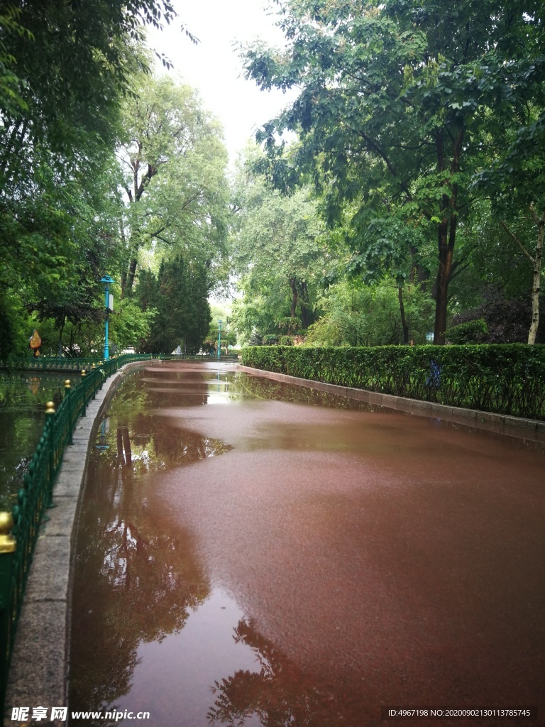 雨后的宁静