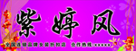 紫亭风