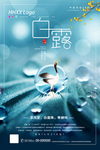 白露