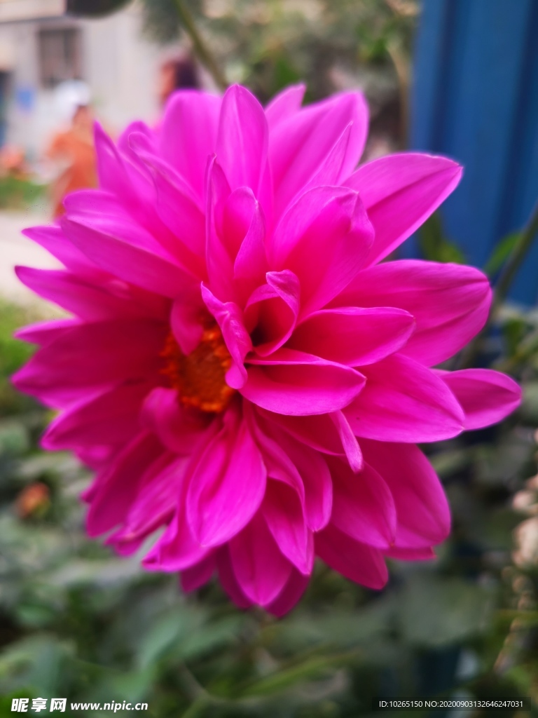 花