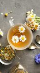 花茶