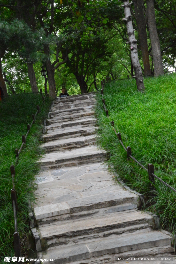 小路