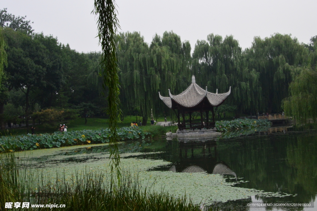 园林风景