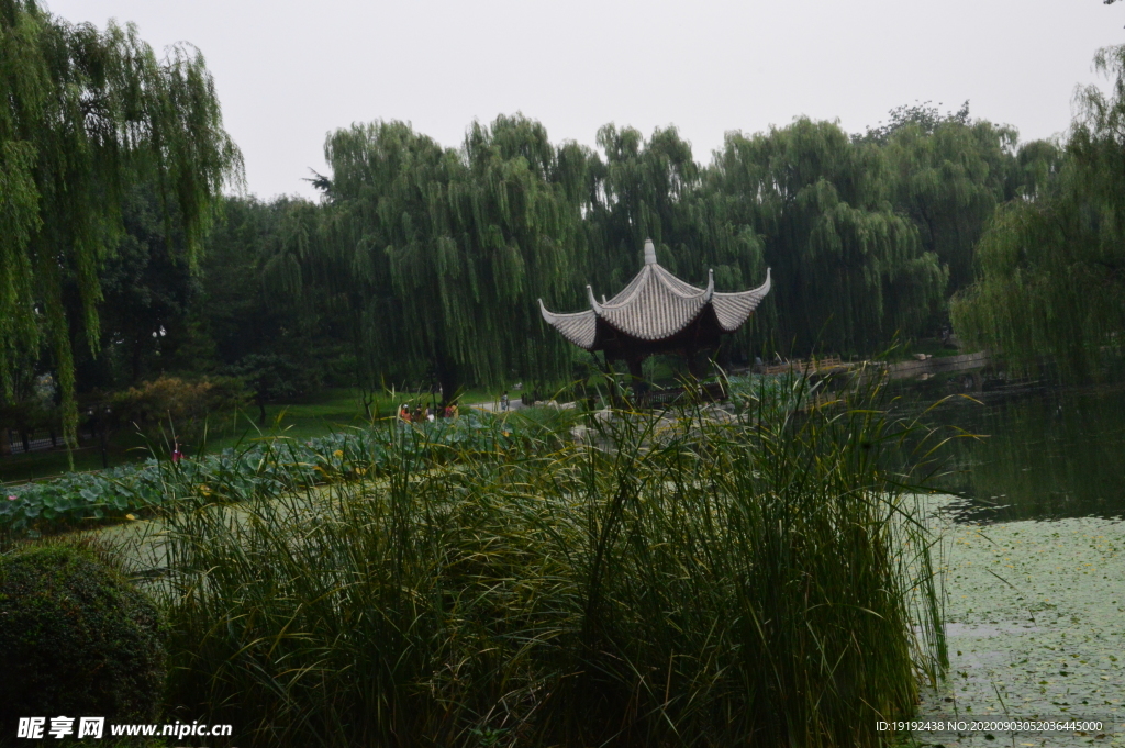 园林风景