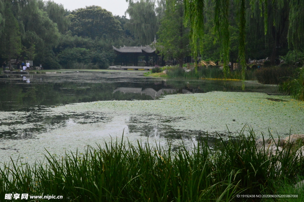 园林风景