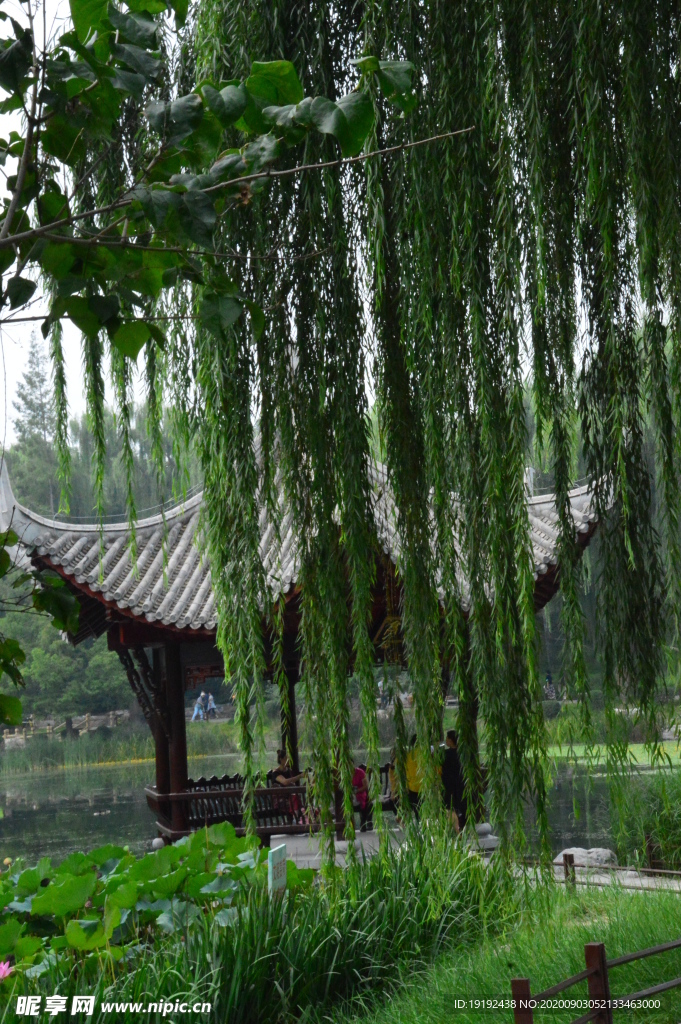 园林风景