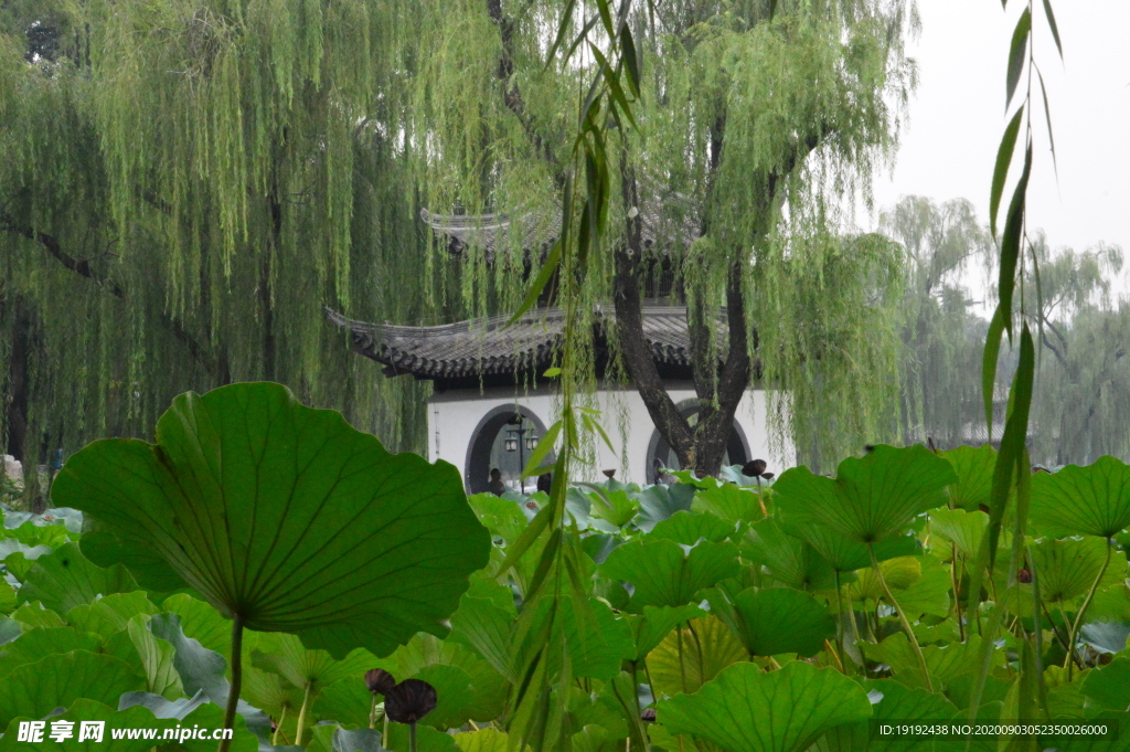 园林风景