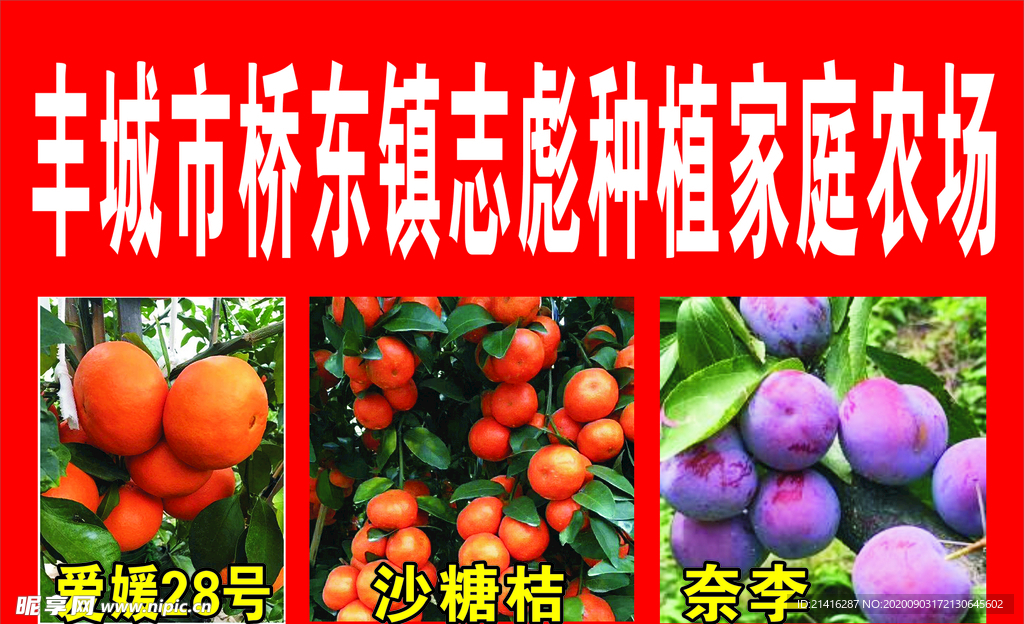丰城市桥东镇志彪种植家庭农场