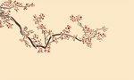 硅藻泥梅花背景