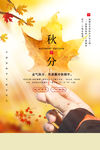 秋分
