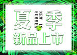 夏季新品上市