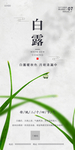 白露海报
