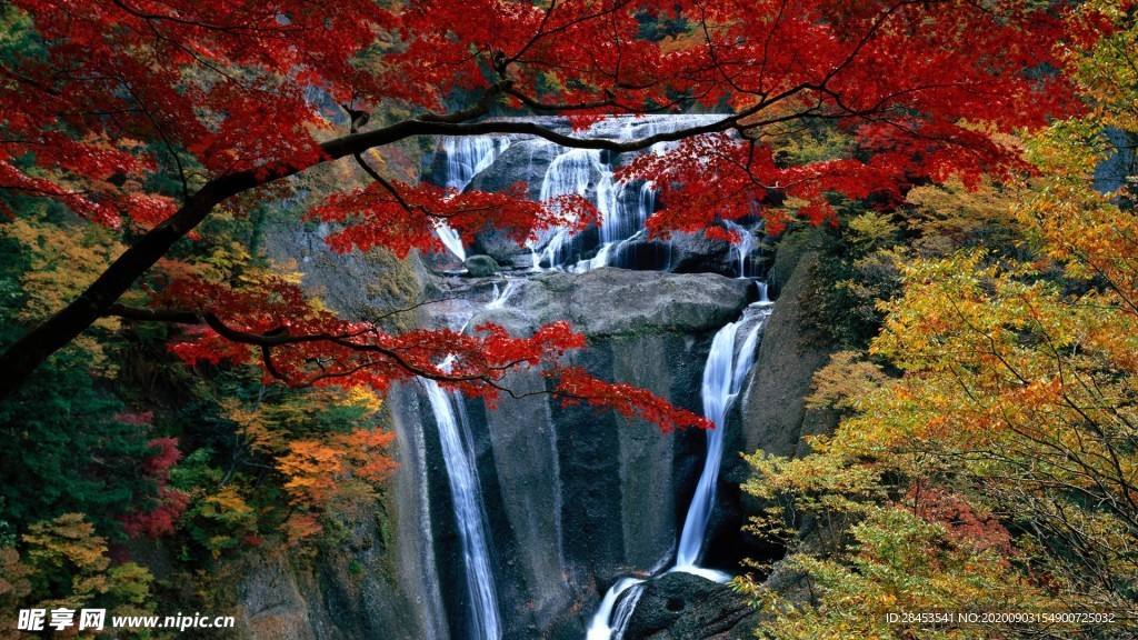 风景