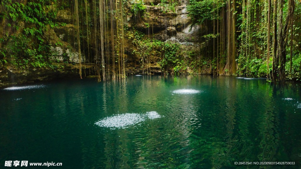 风景