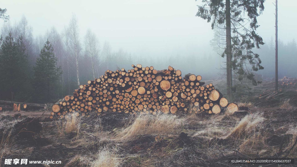 风景