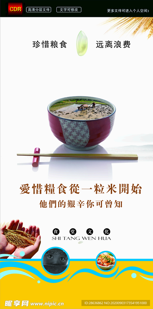 食堂文化珍惜粮食