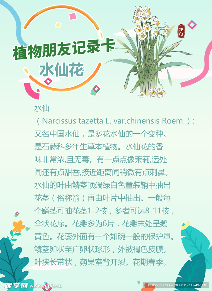 水仙花