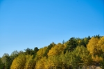 背景 在户外