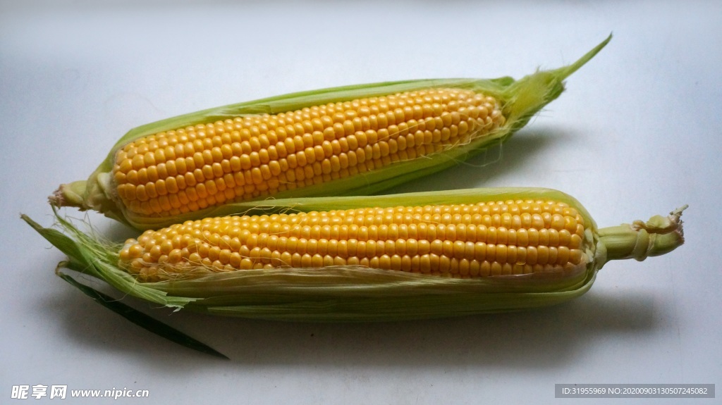 耳朵玉米